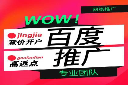 网络营销实战：案例分享竞价推广的秘诀